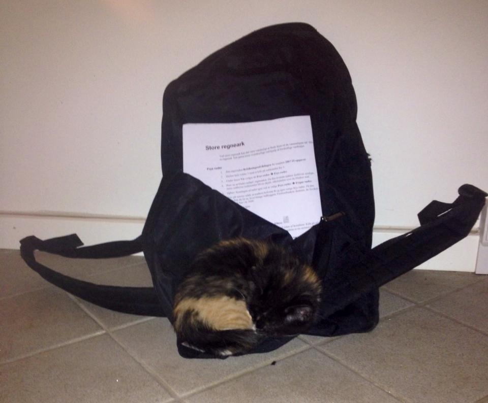 Huskat Pusle *RIP* billede 10