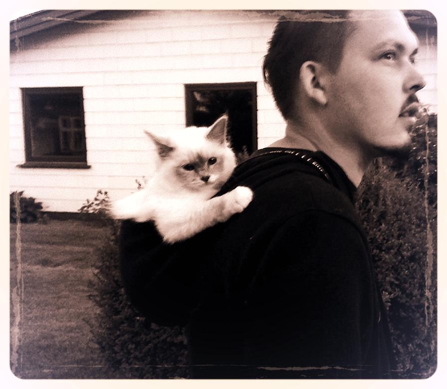 Hellig Birma Monroe billede 3