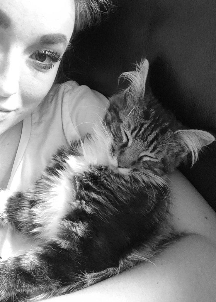 Maine Coon Mibu - ELSKER at sove i "mors" arme. billede 5