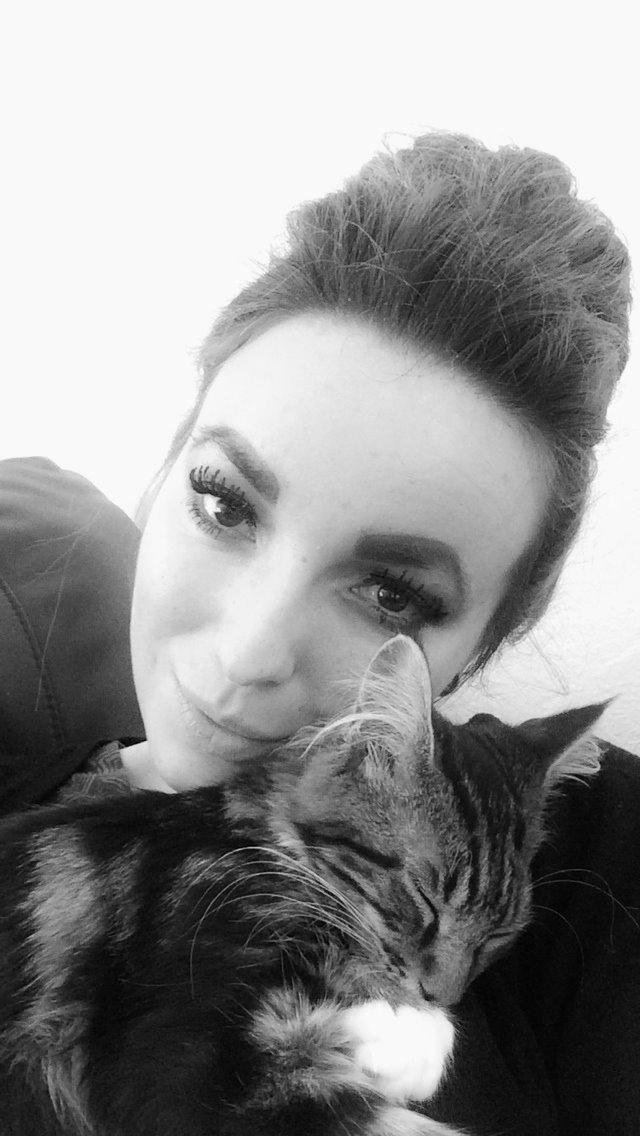 Maine Coon Mibu - Kvalitets tid :-) billede 4