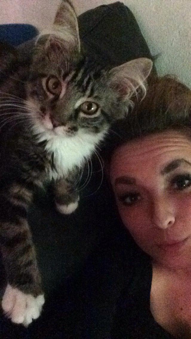 Maine Coon Mibu - Whats up? billede 11