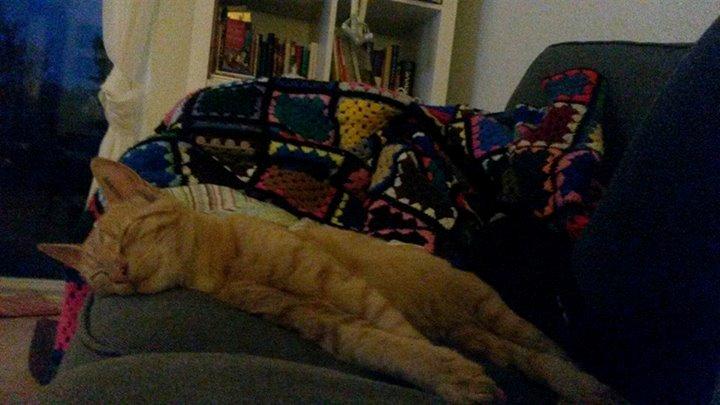 Huskat Chips billede 9