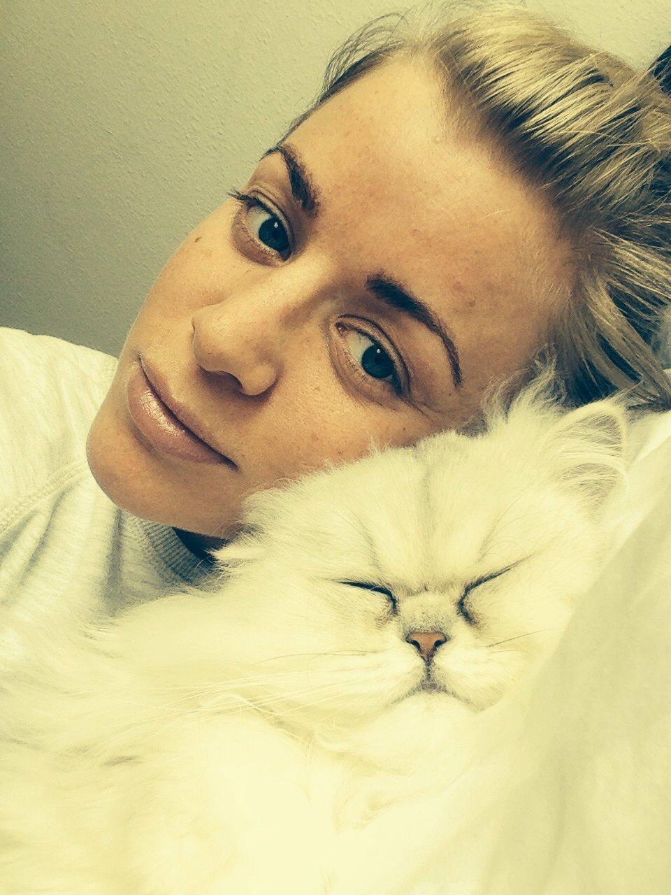 Perser Baron Bright Bently Beauperfield DK billede 25