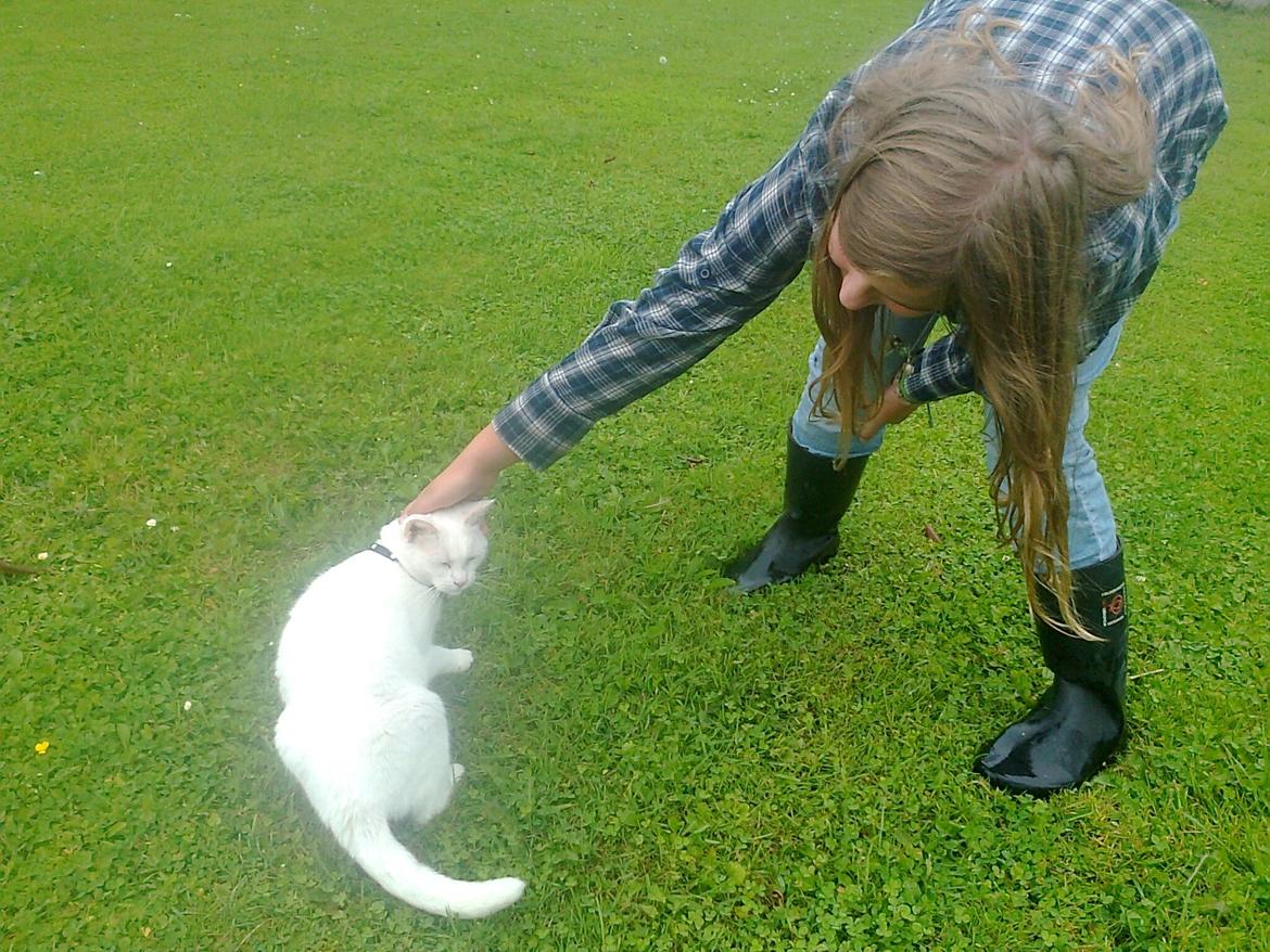 Huskat Chenu Etoile (Døvemis/Alien) - Mig og Chenu billede 6