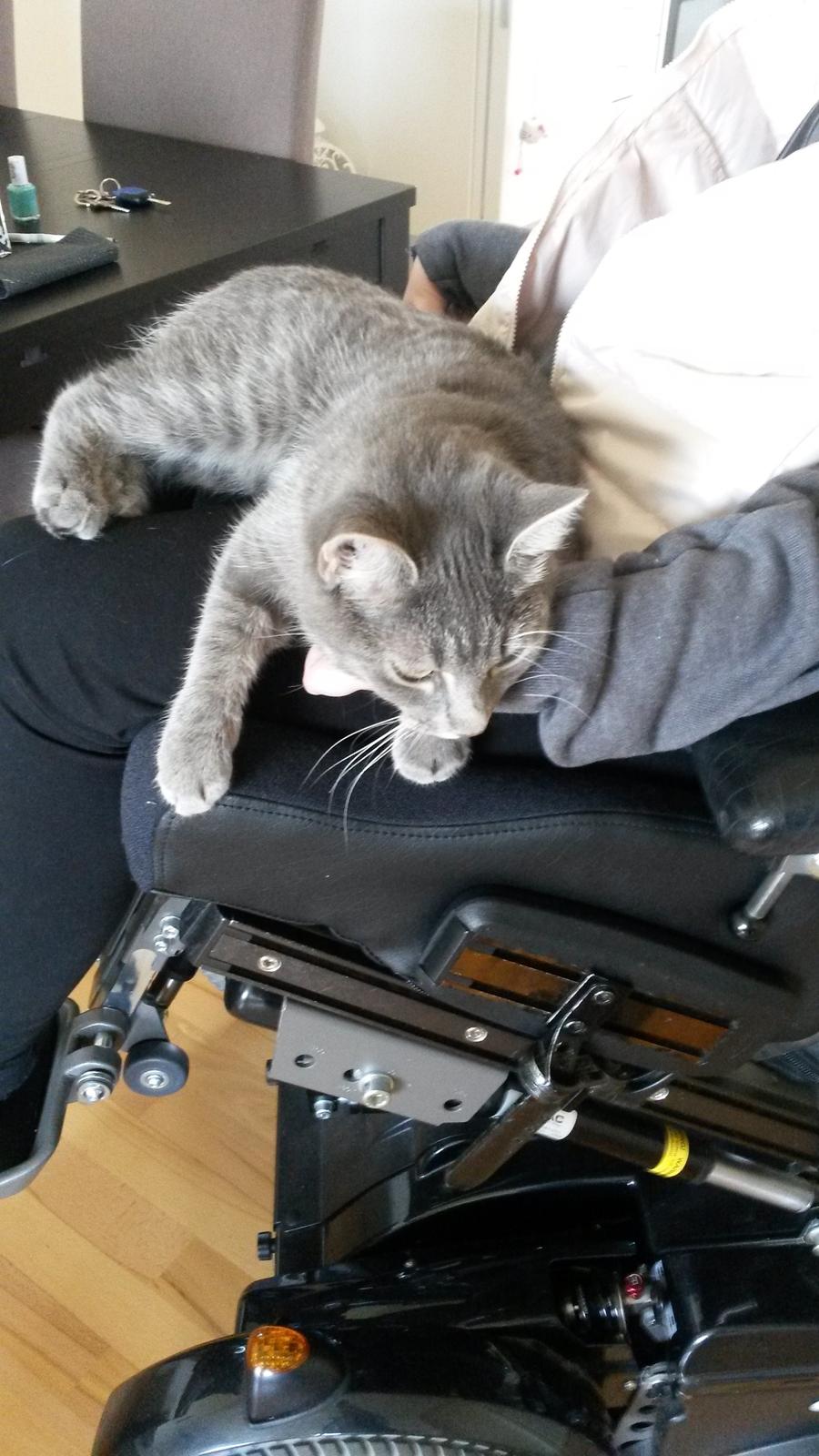 Huskat Putte - Jeg hænger lige ud her.. :) billede 33