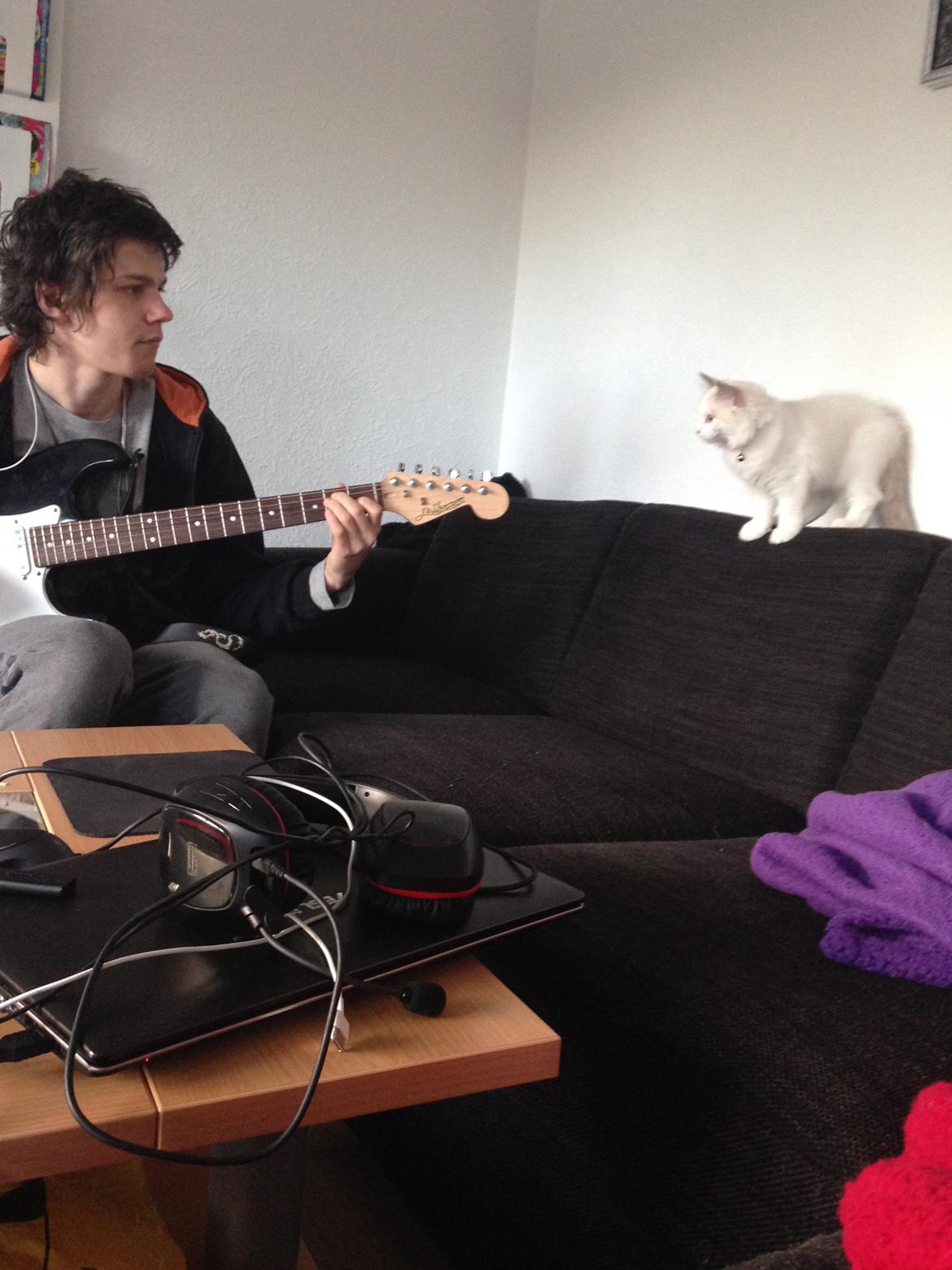 Ragdoll Dk Jaquet Piper Heidsieck - hvad laver du far? billede 13