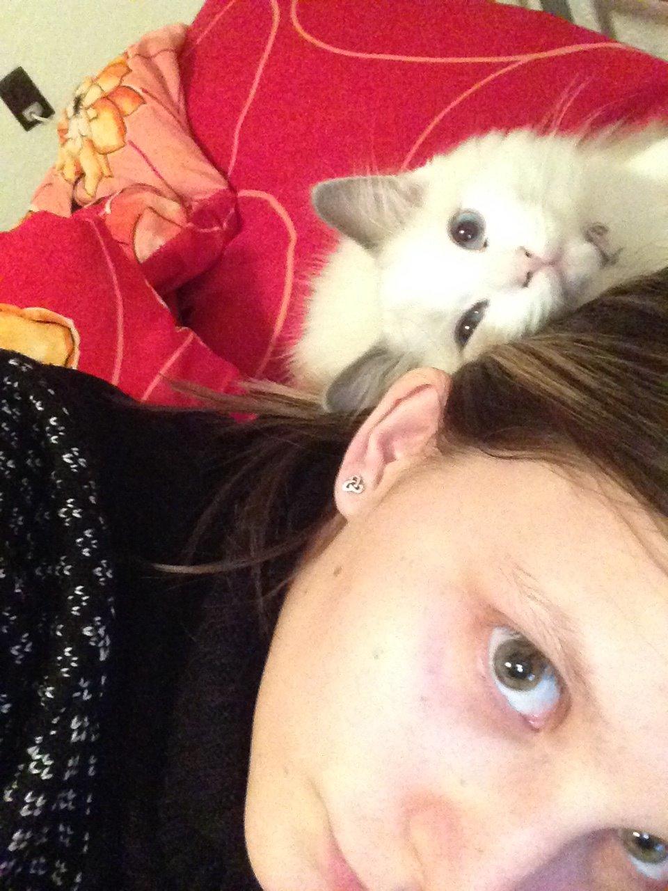 Ragdoll Dk Jaquet Piper Heidsieck billede 14