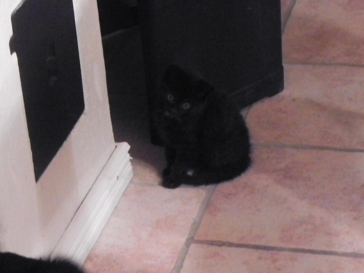 Huskat Nachos - Tak for besøget, læs gerne lidt om mig, her - under billederne! Og smid endnu hellere en kommentar og en bedømmelse! :) billede 16