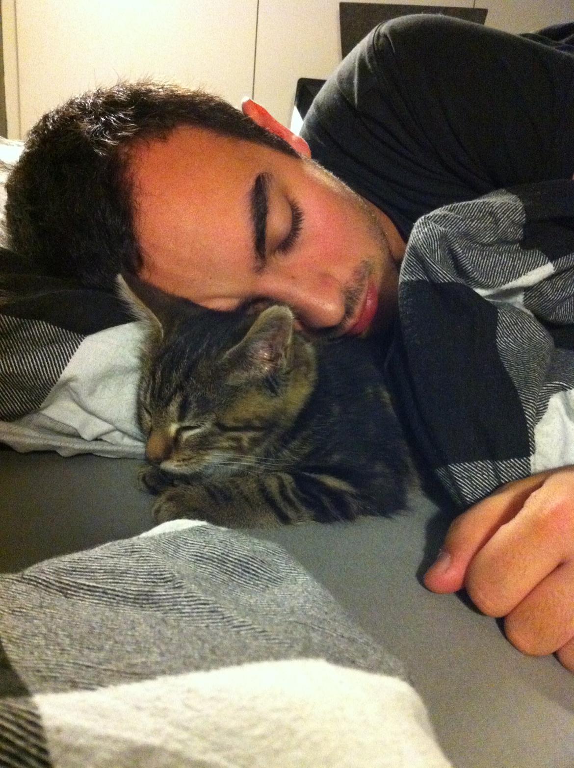 Blanding af racer Bob billede 3