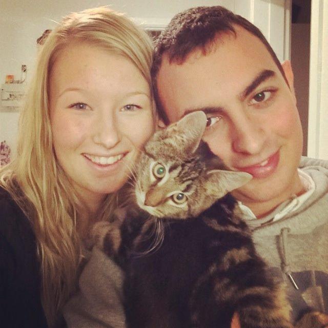 Blanding af racer Bob billede 12