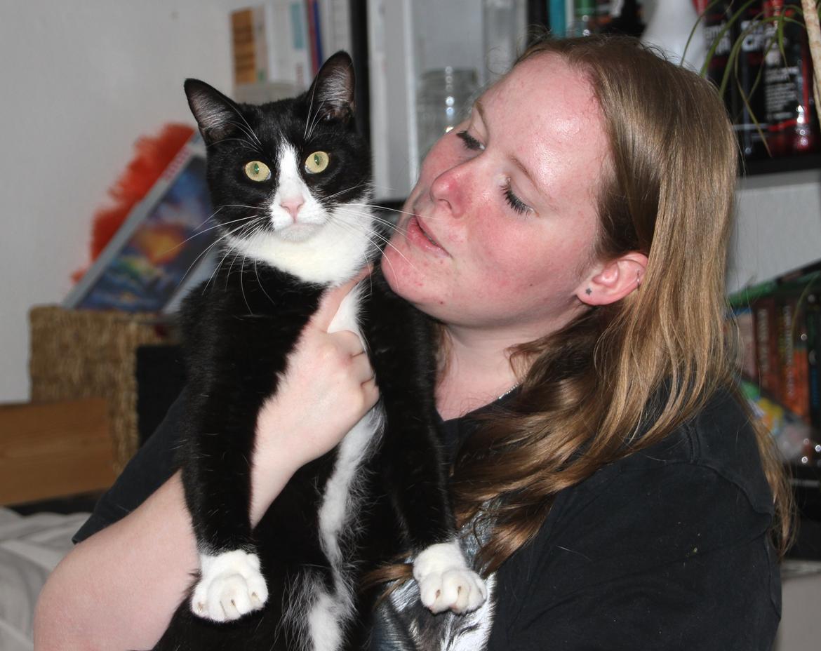 Blanding af racer Diego<3 billede 41