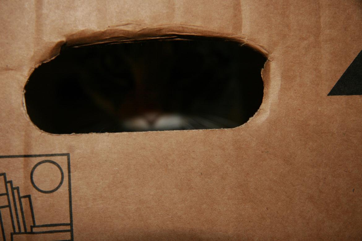 Huskat Cola - Der sidder altså en lille cola mis der inde i kassen (;  billede 7