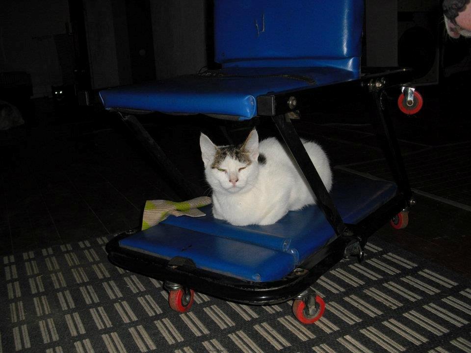 Huskat Palle billede 4