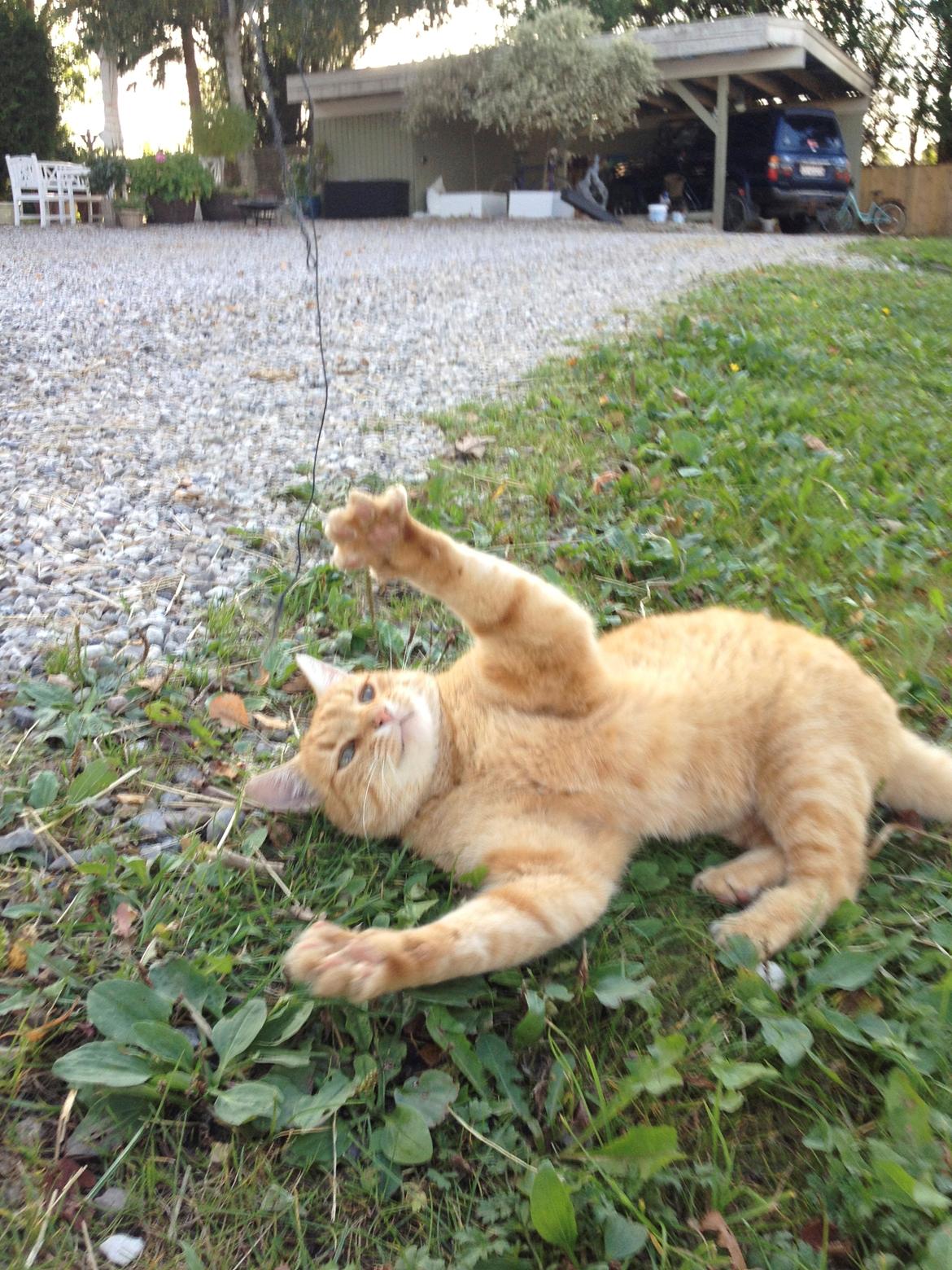 Huskat Garfield "Gaffel" billede 4