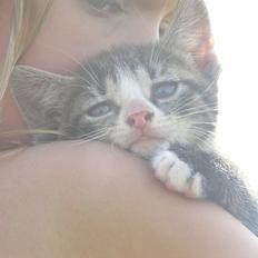 Huskat Kildelunds Wimmelot