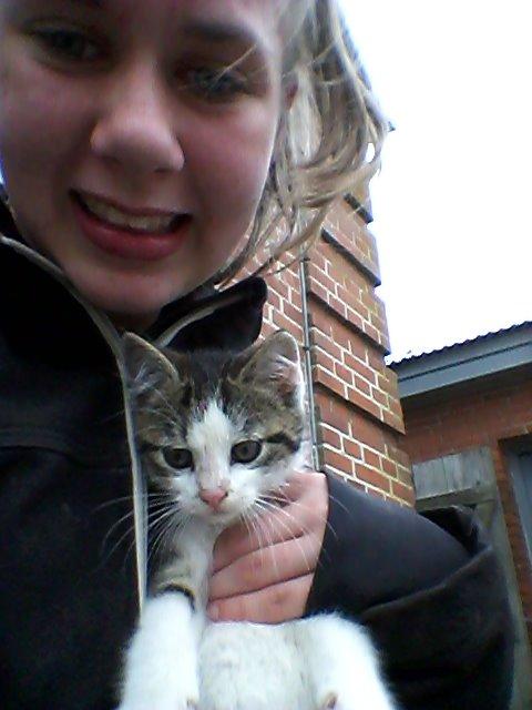 Huskat bølle - jeg kvæler ham ikke bare rolig billede 3