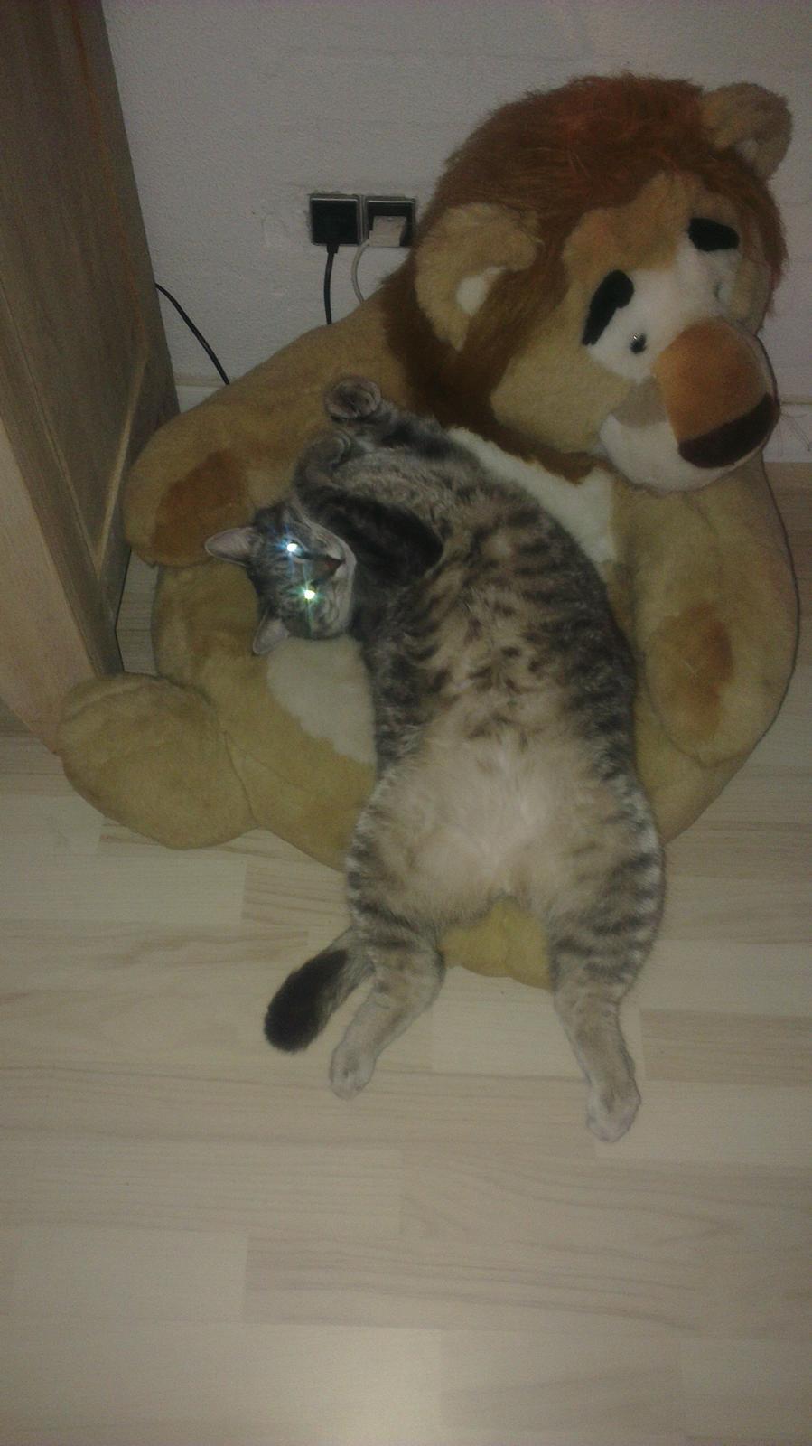 Blanding af racer bøllemis billede 3