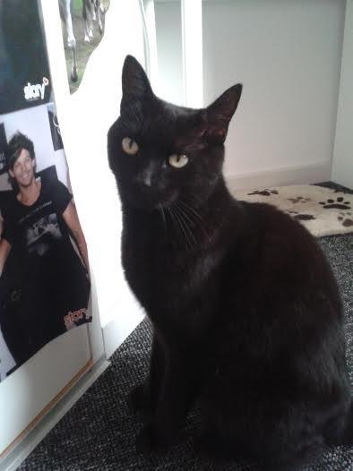 Huskat Sorte R.I.P ;-( - Jeg vil UD!!!!!! billede 16