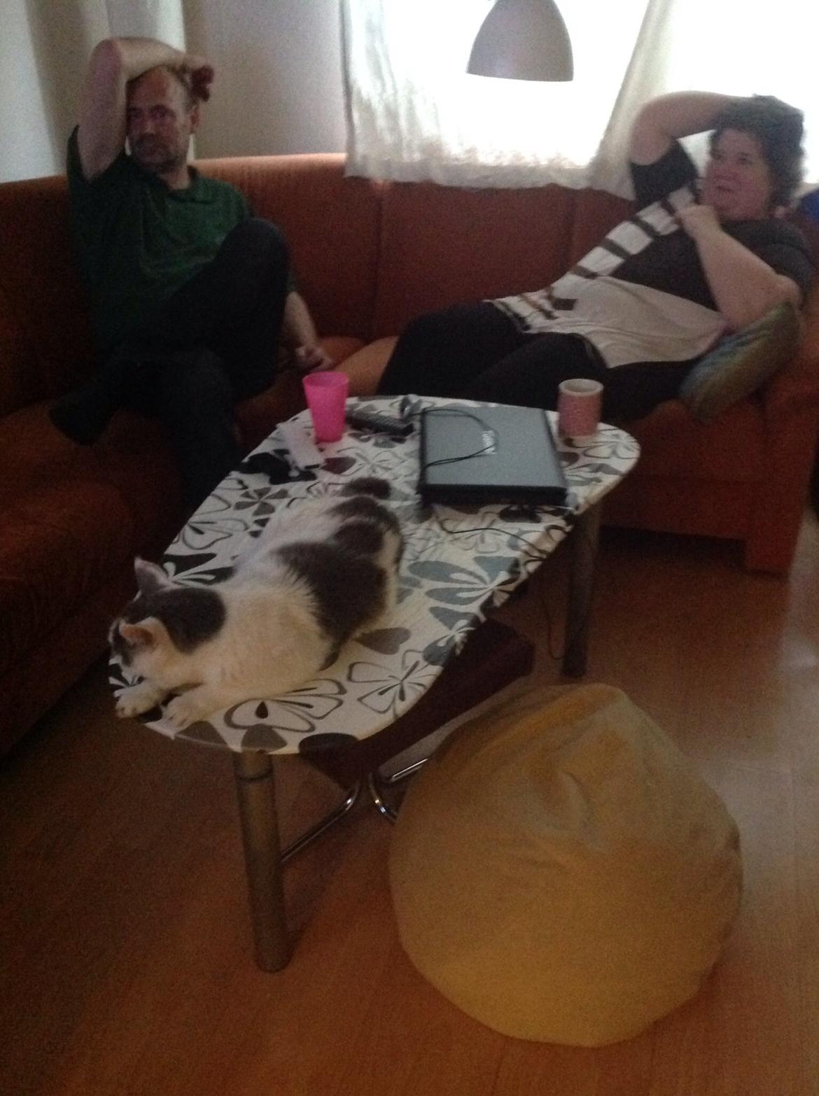 Huskat Fredrik  billede 2