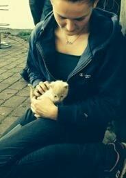 Huskat Milo billede 3