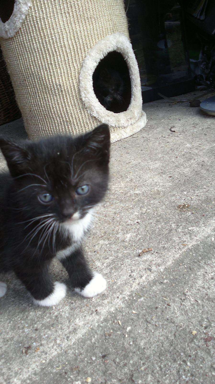 Huskat Microsoft billede 5