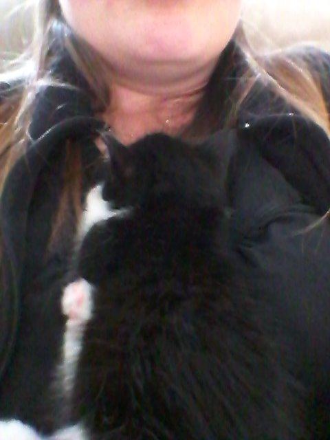 Blanding af racer Figaro billede 6