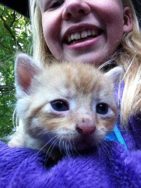 Huskat Milo - milo har aldrig set en iphone før, så den skulle undersøges :D billede 5