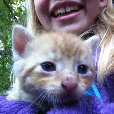 Huskat Milo - prøv at se hans blå øjne<3 billede 14