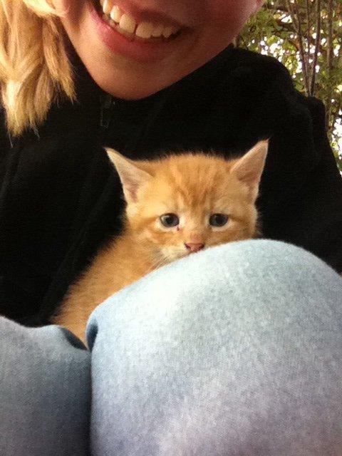 Huskat Milo billede 29