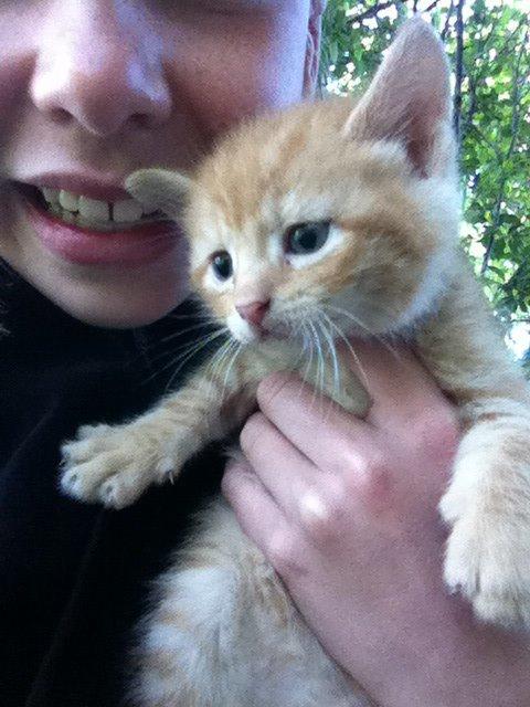 Huskat Milo billede 32