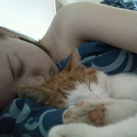 Huskat Speedy  billede 1