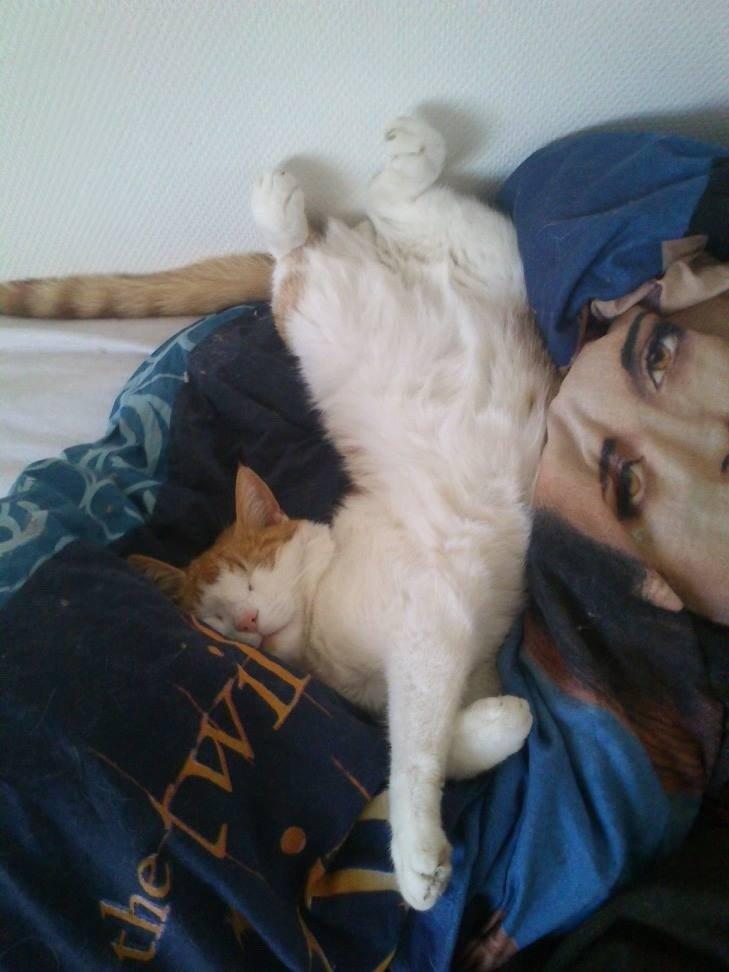 Huskat Speedy  billede 3