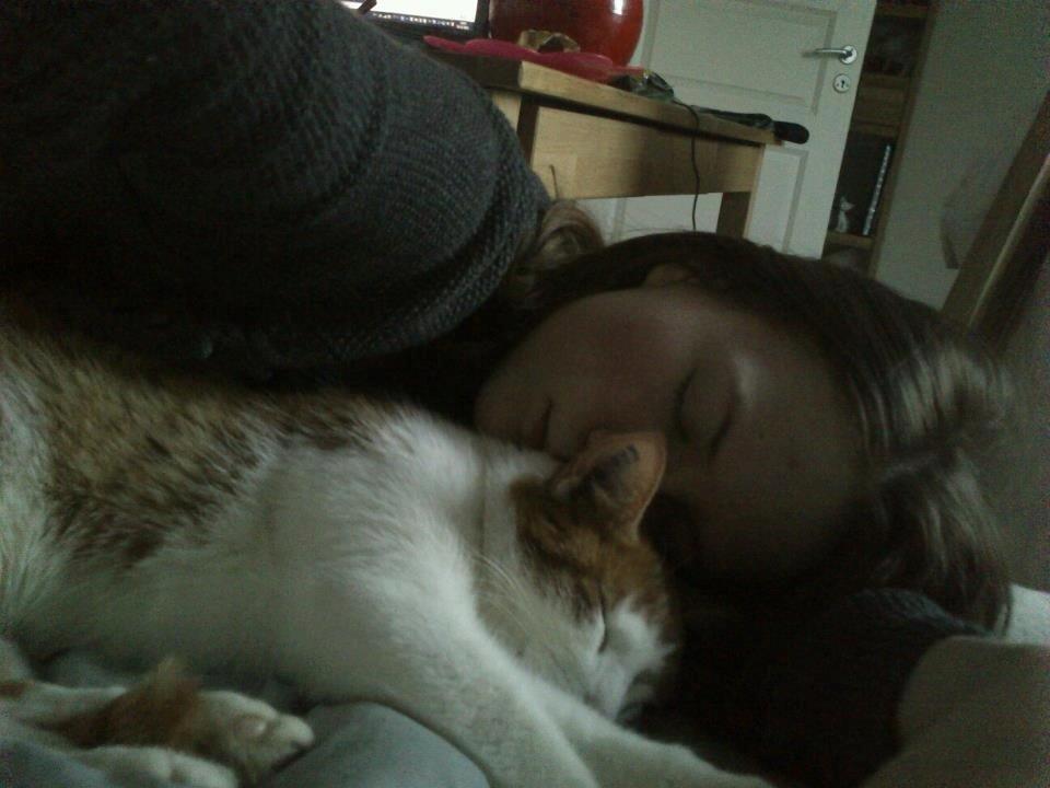 Huskat Speedy  billede 9