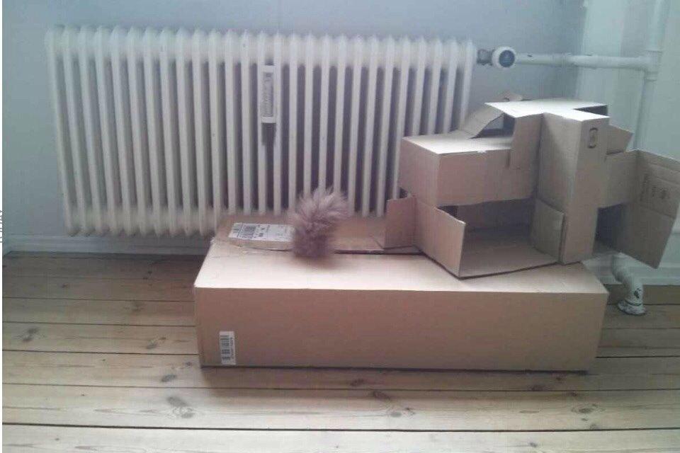 Hellig Birma Lillemis billede 4