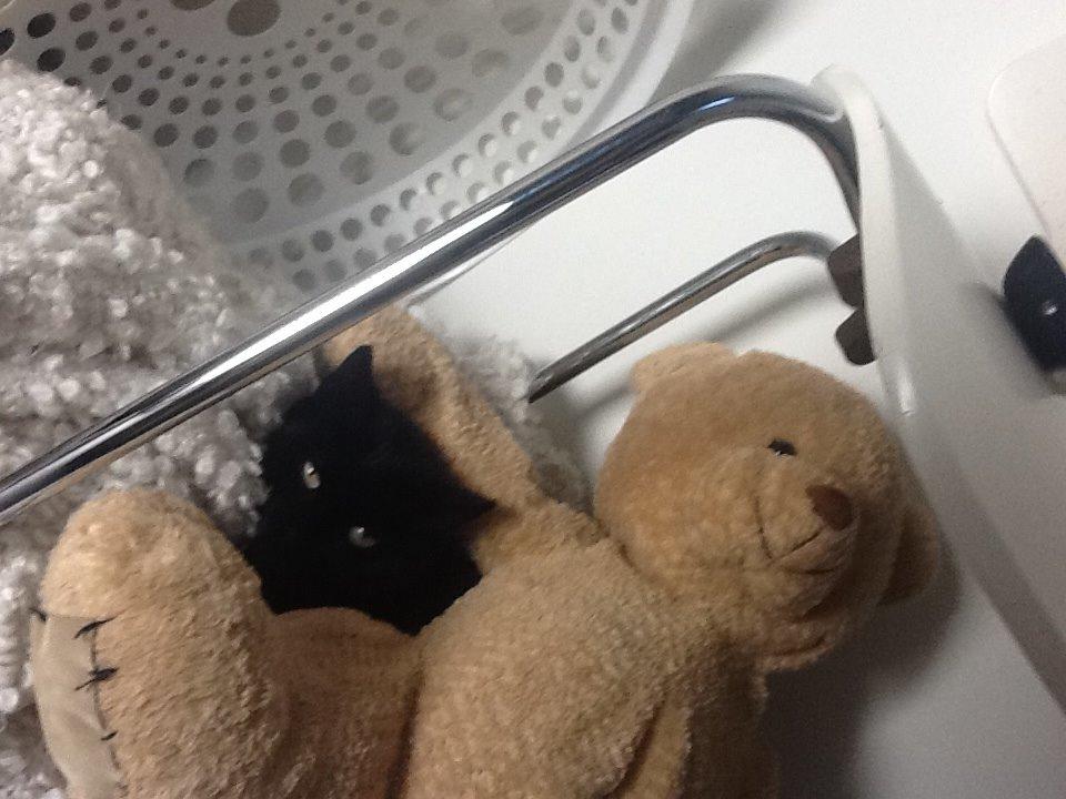 Huskat Misser billede 2