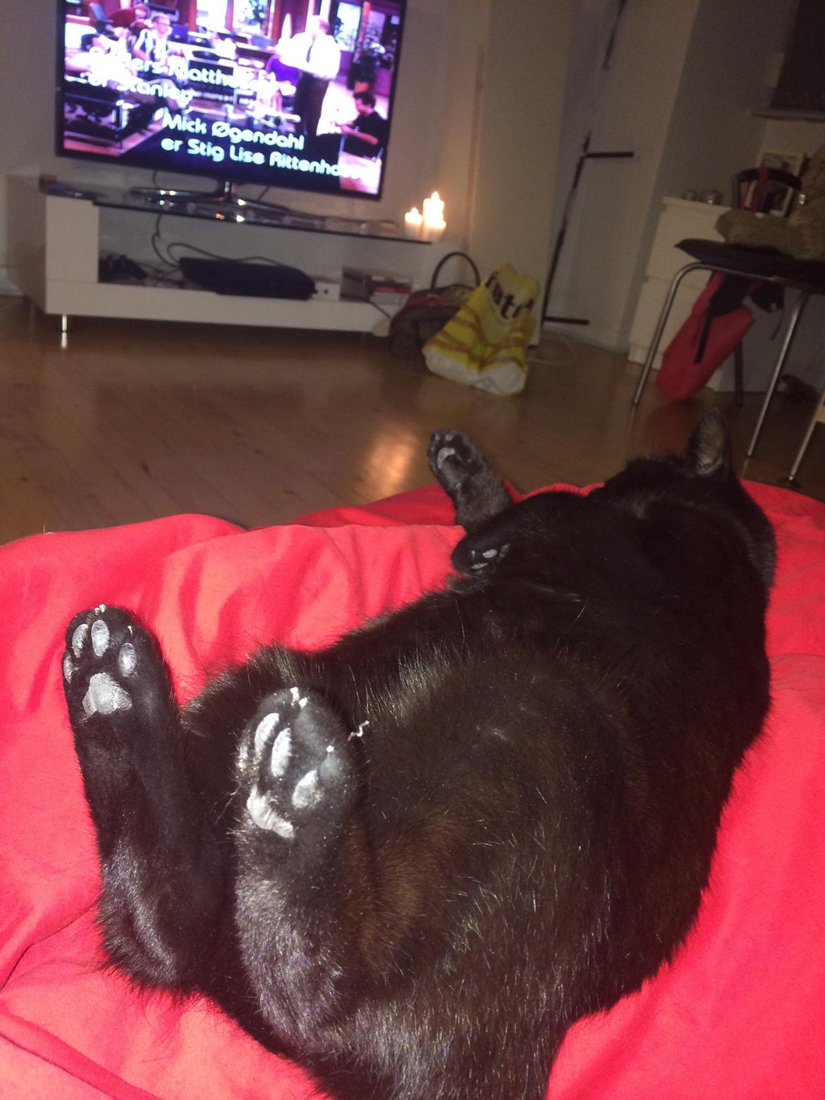 Huskat Misser billede 6