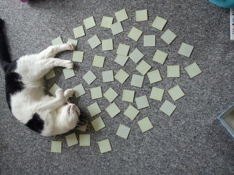 Huskat Cupcake billede 8