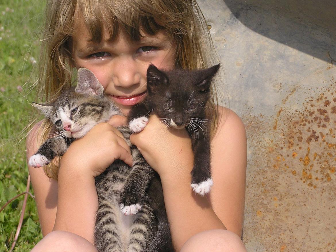 Huskat Kildelunds Wimmelot billede 6