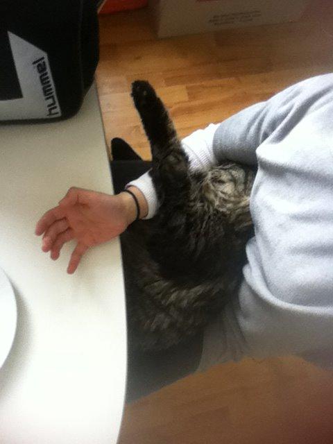 Blanding af racer Charles billede 15