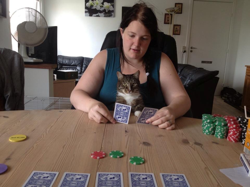 Huskat Simba billede 16