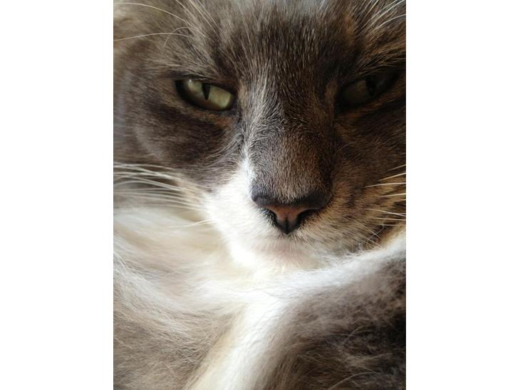 {{currentPhoto.altText}} billede {{currentPhoto.number}}