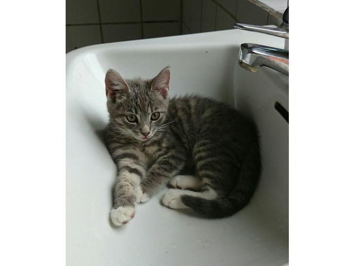 {{currentPhoto.altText}} billede {{currentPhoto.number}}