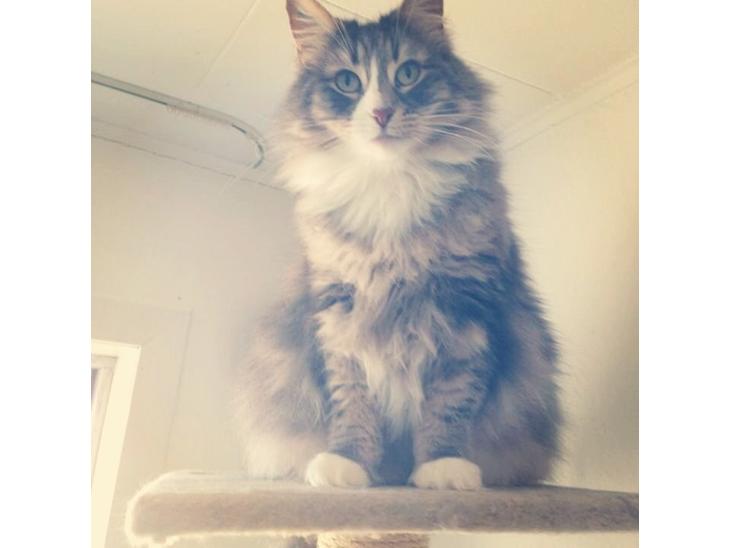 {{currentPhoto.altText}} billede {{currentPhoto.number}}