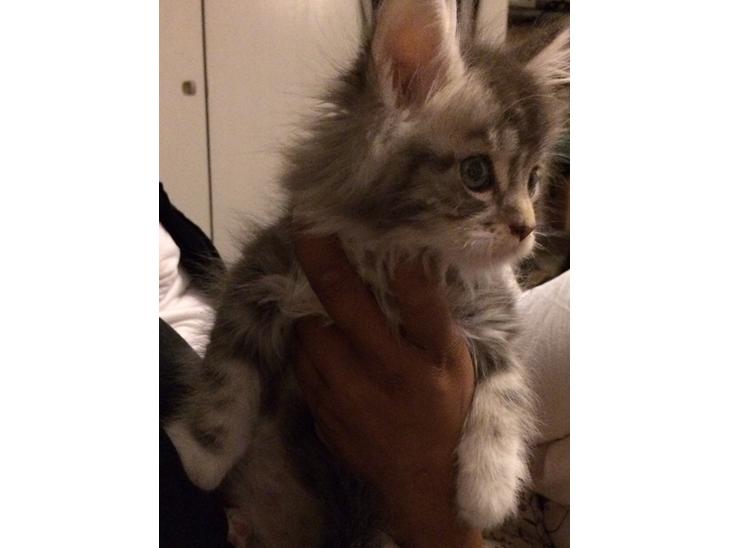 {{currentPhoto.altText}} billede {{currentPhoto.number}}