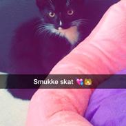 Blanding af racer Macy