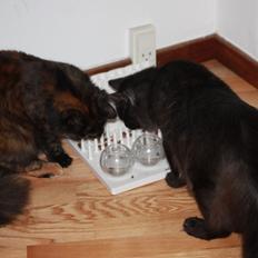 Blanding af racer Mille