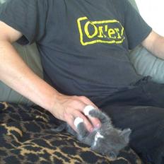 Blanding af racer Xena