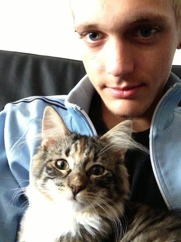 Blanding af racer Alba billede 8