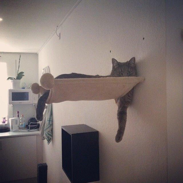 Huskat Putte billede 39