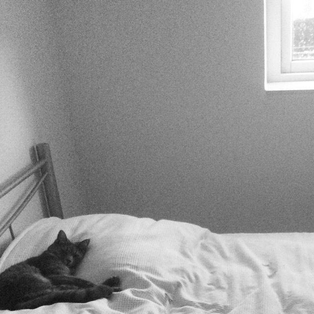 Huskat Putte billede 40